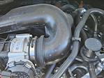 2025 Ford Transit 250 Medium Roof RWD Empty Cargo Van for sale #SKA79544 - photo 15