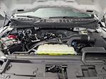 2025 Ford F-150 Regular Cab 4x2 Pickup for sale #SKD19735 - photo 15