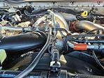 2026 Ford F-250 Crew Cab 4x4 Pickup for sale #TEC16795 - photo 17