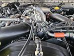 2026 Ford F-350 Crew Cab DRW 4x4 Pickup for sale #TEC53126 - photo 17