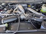 New 2026 Ford F-250 XLT Crew Cab for sale #TEC56775 - photo 9