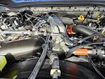 New 2026 Ford F-250 Platinum Crew Cab for sale #TED45775 - photo 17