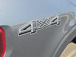New 2025 Ford F-150 XLT SuperCrew Cab for sale #64480 - photo 4
