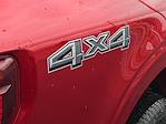 New 2026 Ford F-150 XLT SuperCrew Cab for sale #64800 - photo 4