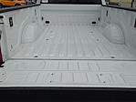New 2026 Ford F-250 Regular Cab for sale #64745 - photo 6