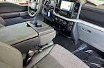 2023 Ford F-150 SuperCrew Cab RWD Pickup for sale #9087 - photo 15