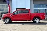 2023 Ford F-150 SuperCrew Cab RWD Pickup for sale #9105 - photo 7