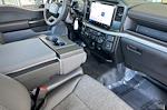 2025 Ford F-150 Regular Cab 4WD Pickup for sale #T4391 - photo 14