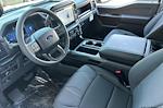 New 2025 Ford F-150 STX SuperCrew Cab 4WD Pickup for sale #T4503 - photo 10