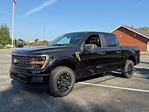 2025 Ford F-150 SuperCrew Cab 4WD Pickup for sale #101525 - photo 1