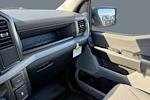 2025 Ford F-150 SuperCrew Cab 4WD Pickup for sale #102025 - photo 14