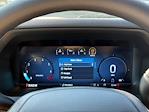 2025 Ford F-150 SuperCrew Cab 4WD Pickup for sale #102025 - photo 23