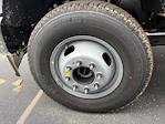 2025 Ford F-350 Regular Cab DRW 4WD Cab Chassis for sale #190325 - photo 8
