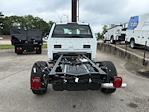 2025 Ford F-350 Regular Cab SRW 4WD Cab Chassis for sale #191025 - photo 5