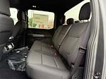 2025 Ford F-150 SuperCrew Cab 4WD Pickup for sale #193925 - photo 15