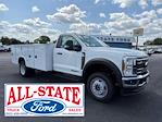 New 2025 Ford F-450 Regular Cab 4WD Knapheide 6132D54 11' 1" Service Truck for sale #198825 - photo 1