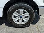 2019 Ford F-150 SuperCrew Cab RWD Pickup for sale #P7450 - photo 8