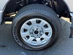 2024 Ford F-250 Crew Cab 4WD Pickup for sale #P7550 - photo 8
