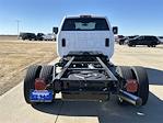 2024 Chevrolet Silverado 5500 Regular Cab DRW RWD Cab Chassis for sale #C5122 - photo 3