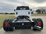2024 Chevrolet Silverado 5500 Regular Cab DRW RWD Cab Chassis for sale #C5135 - photo 11