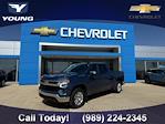 2024 Chevrolet Silverado 1500 Crew Cab 4x4 Pickup for sale #3568A - photo 1