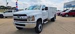 New 2024 Chevrolet Silverado 5500 Regular Cab 4x4 Reading U132-DW 11' Service Truck for sale #3653 - photo 7