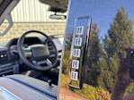 2024 Ford F-150 SuperCrew Cab 4x4, Pickup for sale #240963 - photo 12