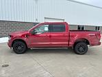 2024 Ford F-150 SuperCrew Cab 4x4, Pickup for sale #240967 - photo 9