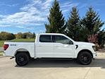 2024 Ford F-150 SuperCrew Cab 4x4, Pickup for sale #241087 - photo 6