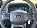 2024 Ford F-150 SuperCrew Cab 4x4, Pickup for sale #241090 - photo 20