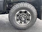 2024 Ford F-350 Crew Cab SRW 4x4 Pickup for sale #241234 - photo 9