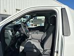 2024 Ford F-150 Regular Cab 4x2, Pickup for sale #241262 - photo 11