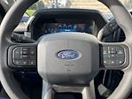 2024 Ford F-150 Regular Cab 4x2, Pickup for sale #241262 - photo 15