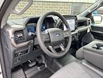 2024 Ford F-150 Regular Cab 4x2, Pickup for sale #241280 - photo 16