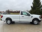 2024 Ford F-150 Regular Cab 4x2, Pickup for sale #241311 - photo 6