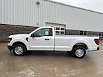 2024 Ford F-150 Regular Cab 4x2, Pickup for sale #241311 - photo 9