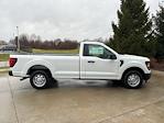 2024 Ford F-150 Regular Cab 4x2, Pickup for sale #241319 - photo 31