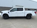 2024 Ford F-150 SuperCrew Cab 4x4, Pickup for sale #241388 - photo 9