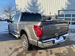 2024 Ford F-150 SuperCrew Cab 4x4, Pickup for sale #241398 - photo 8