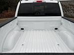 2024 Ford F-150 SuperCrew Cab 4x4, Pickup for sale #241405 - photo 12