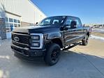 2024 Ford F-250 Crew Cab 4x4, Pickup for sale #241455 - photo 4