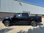 2025 Ford F-150 SuperCrew Cab 4x4 Pickup for sale #250368 - photo 9