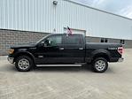 2011 Ford F-150 SuperCrew Cab 4x4 Pickup for sale #250390B - photo 9