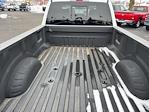 2024 Ford F-350 Crew Cab DRW 4WD Pickup for sale #250437A3 - photo 12