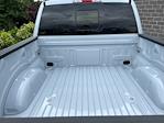 2025 Ford F-150 SuperCrew Cab 4x4 Pickup for sale #250503 - photo 12