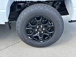 2025 Ford F-150 SuperCrew Cab 4x4 Pickup for sale #250504 - photo 10
