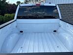 2025 Ford F-150 SuperCrew Cab 4x4 Pickup for sale #250504 - photo 12
