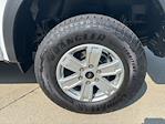 New 2025 Ford Ranger XL SuperCrew Cab 4x4 Pickup for sale #250575 - photo 10