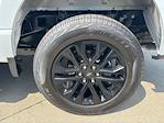 2025 Ford F-150 SuperCrew Cab 4x4 Pickup for sale #250583 - photo 10