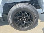 2025 Ford F-150 SuperCrew Cab 4x4 Pickup for sale #250629 - photo 10